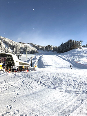 一面の雪景色