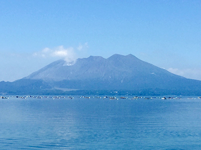 桜島が綺麗に見えています。