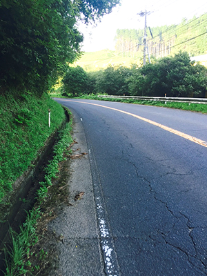 少し後悔した山ランです！