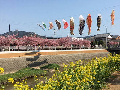 渥美半島満喫プラン最高でした！